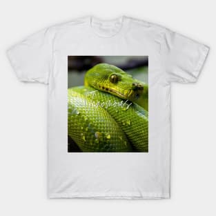 Venomous T-Shirt